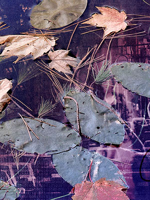 Meditation Meditation